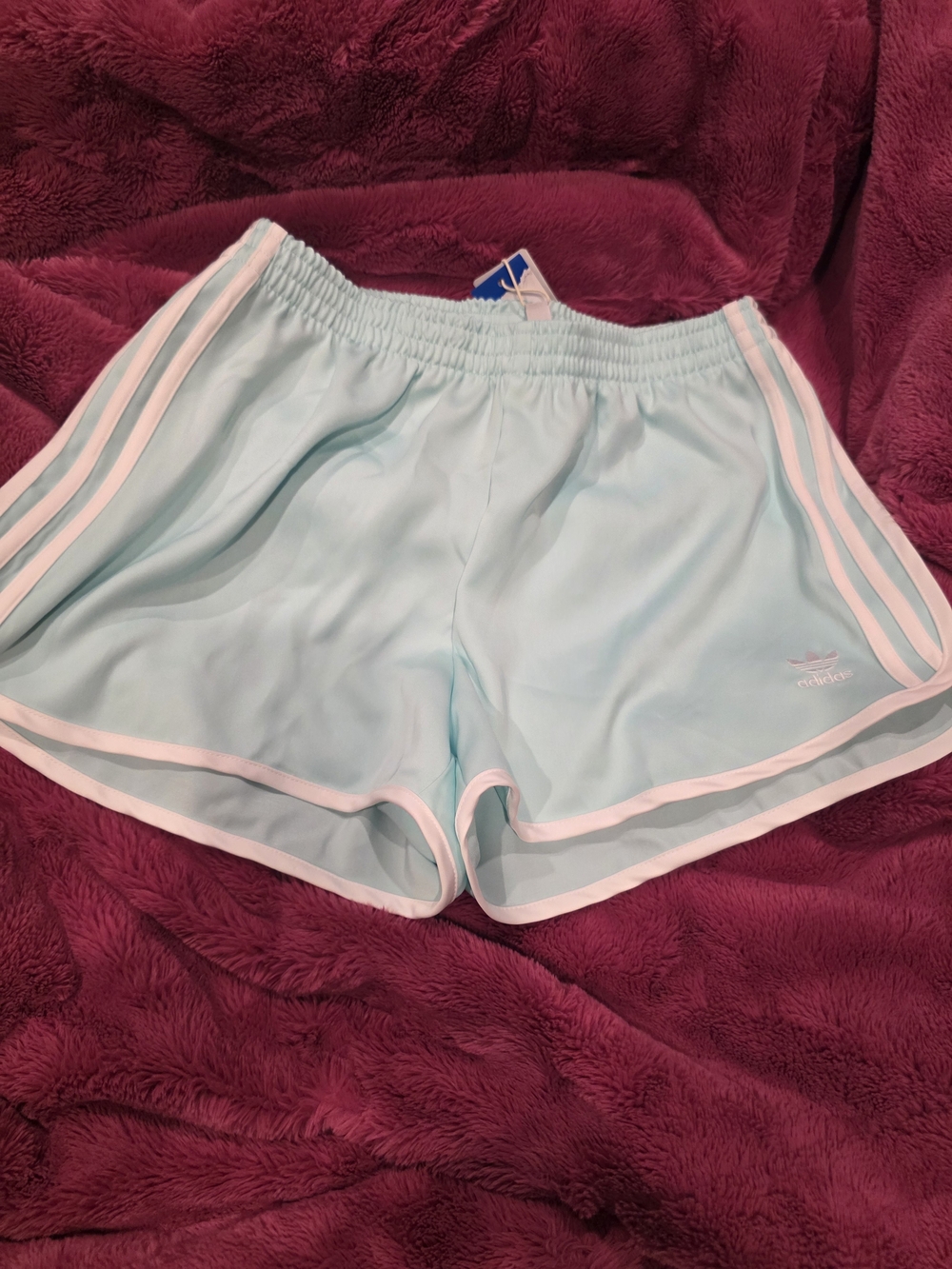 Adidas Light Blue Athletic Running Shorts with White Trim
